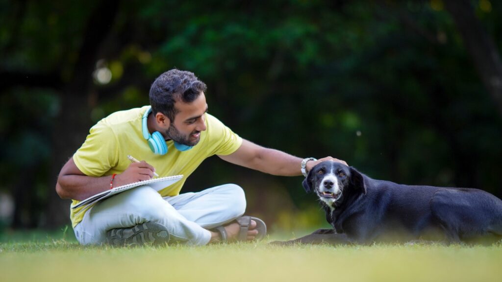 Pet Boarding in Gurgaon Image