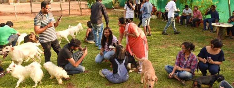 Pet Boarding in Gurgaon Image